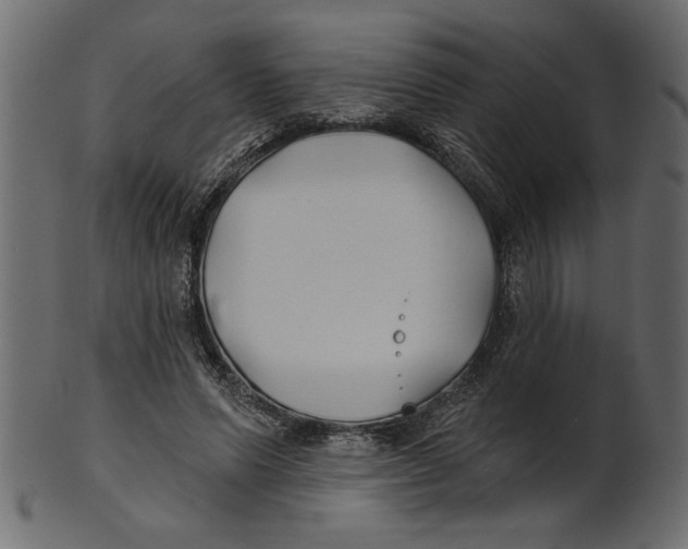 X0000100870591200807181238