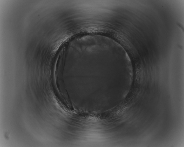 X0000100870592200807181238