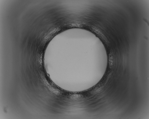 X0000100870593200807181238