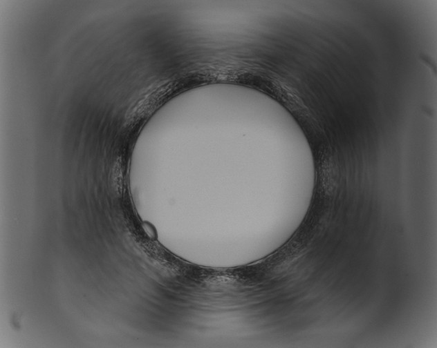 X0000100870594200807181238
