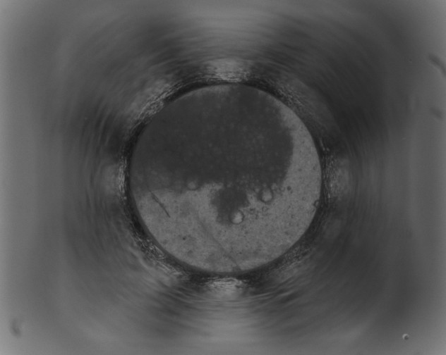 X0000100870595200807181238
