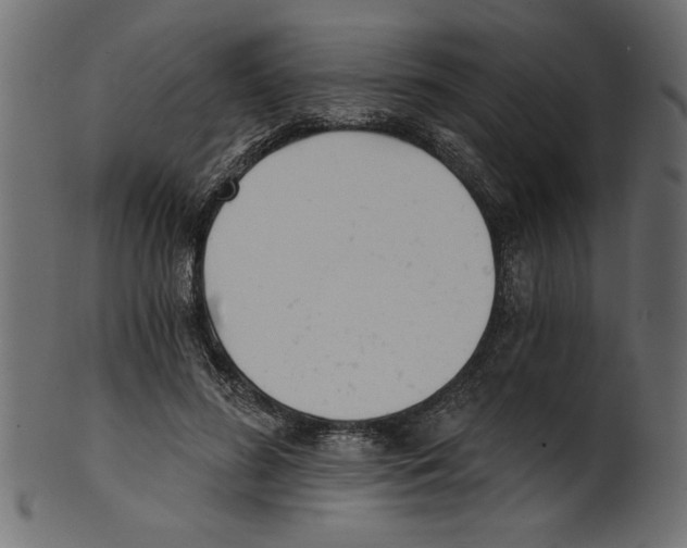 X0000100870596200807181238