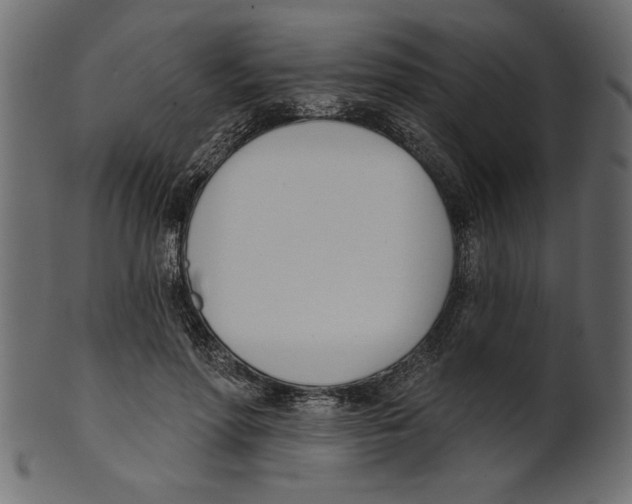 X0000100870598200807181238