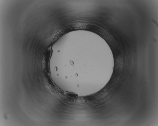 X0000100870600200807181238