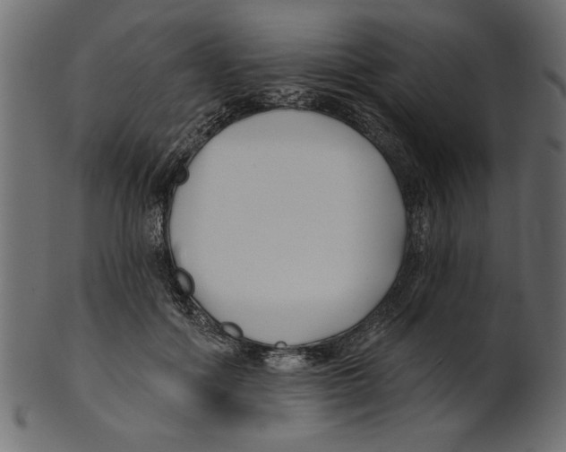 X0000100870602200807181238