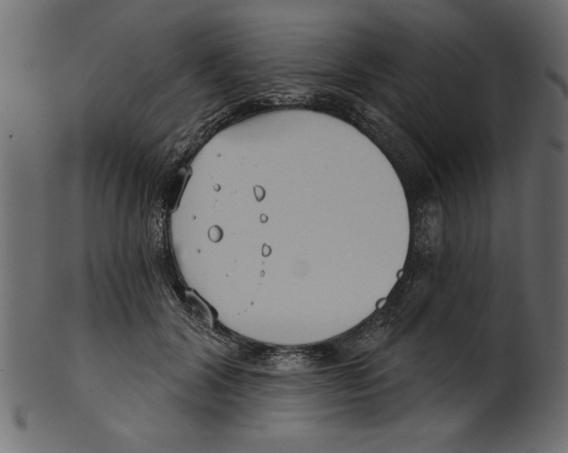 X0000100870604200807181238