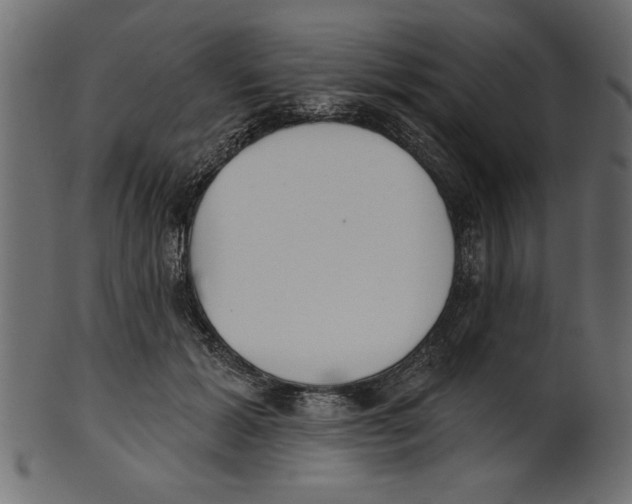 X0000100870605200807181238
