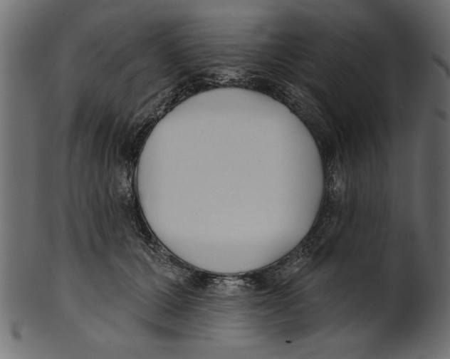 X0000100870607200807181238