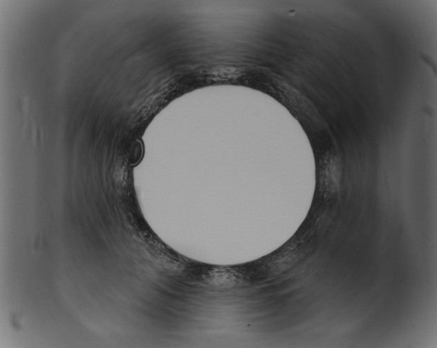 X0000100870608200807181238