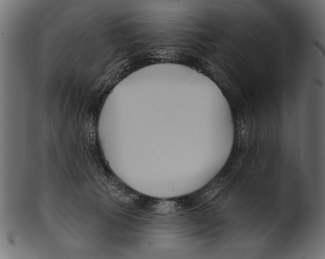 X0000100870609200807181238