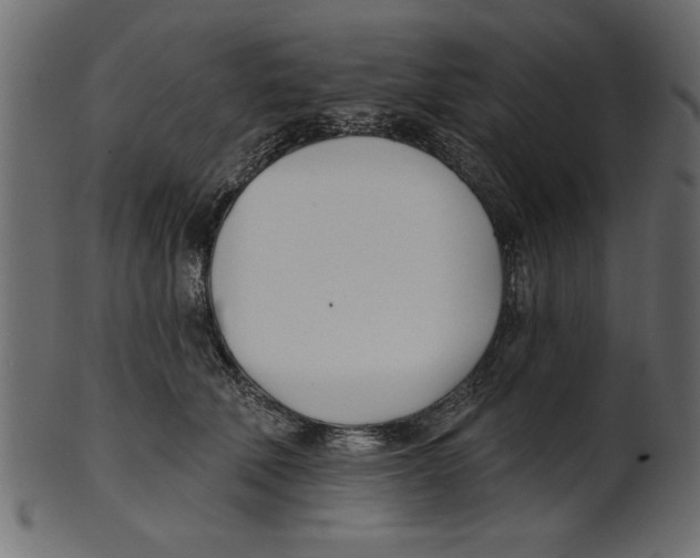 X0000100870610200807181238