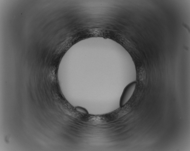X0000100870611200807181238