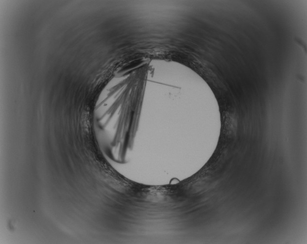 X0000100870612200807181238