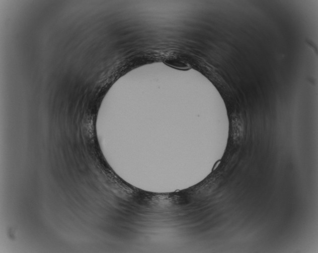 X0000100870613200807181238
