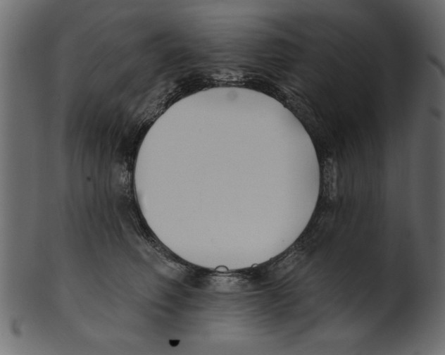 X0000100870614200807181238