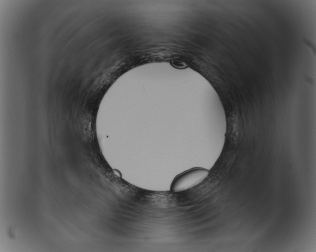 X0000100870615200807181238