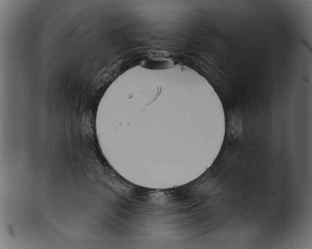 X0000100870616200807181238