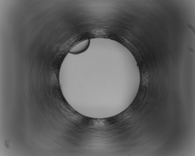 X0000100870618200807181238
