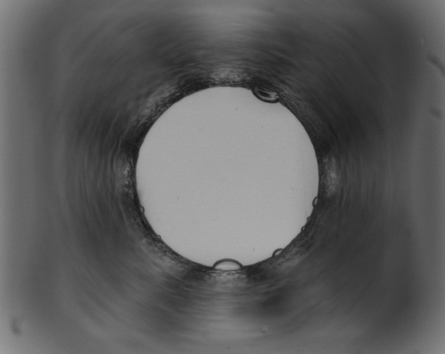 X0000100870619200807181238