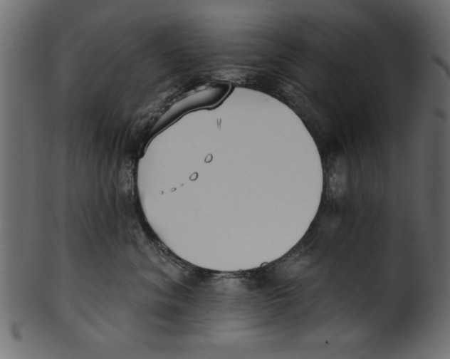 X0000100870620200807181238