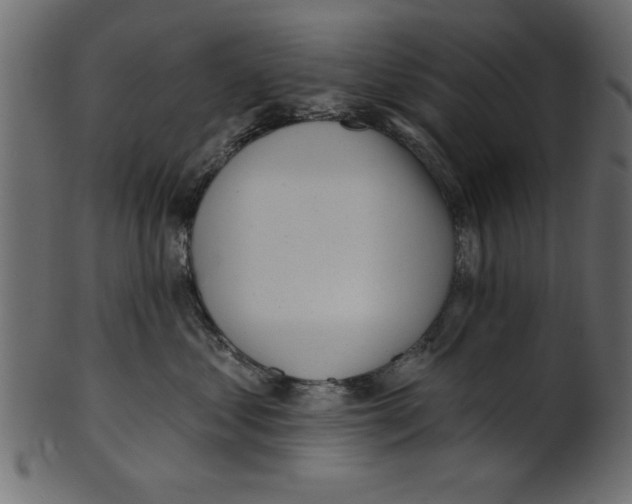X0000100870621200807181238