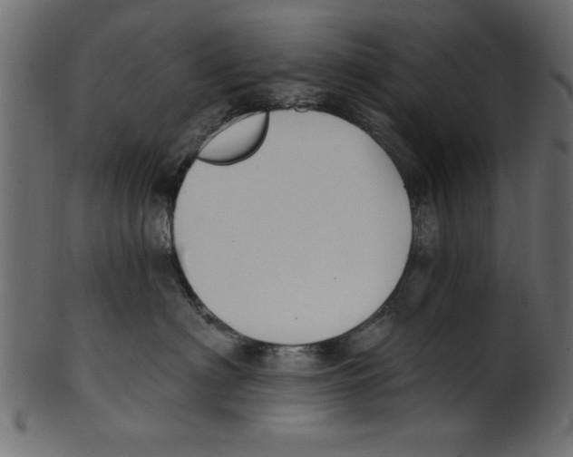 X0000100870622200807181238