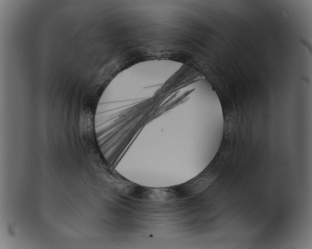 X0000100870623200807181238