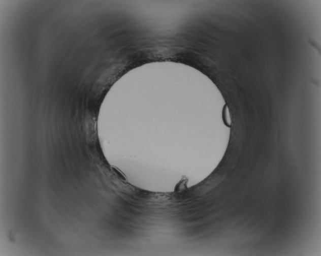 X0000100870624200807181238