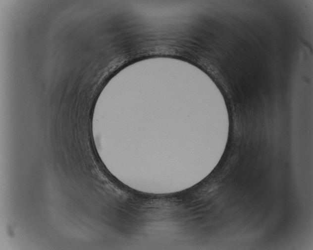 X0000100870625200807181237