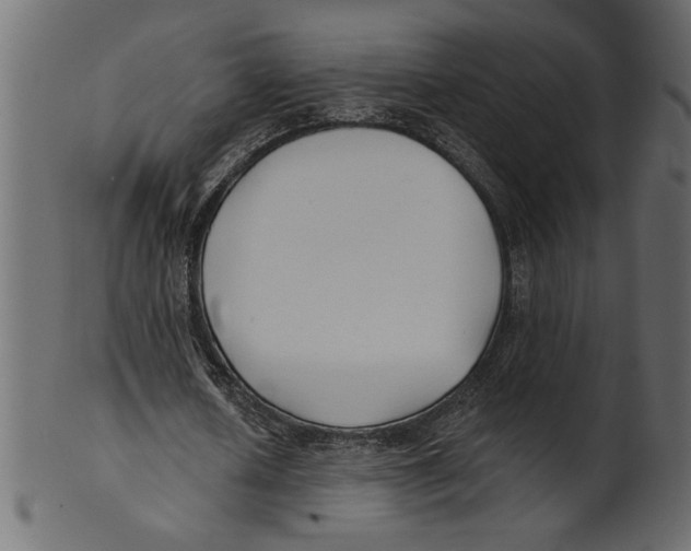 X0000100870626200807181237