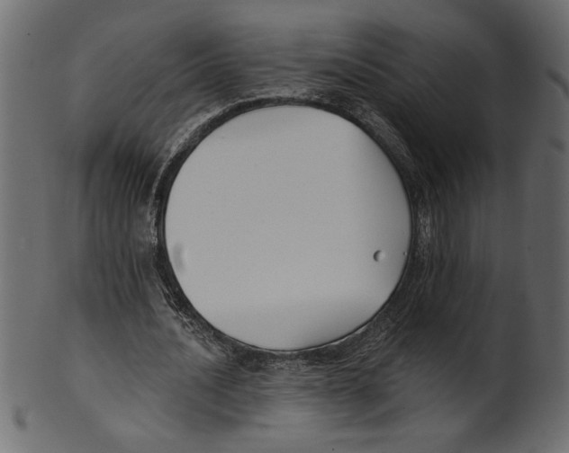 X0000100870628200807181237