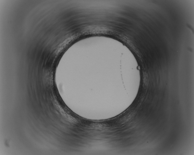 X0000100870629200807181237