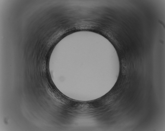 X0000100870631200807181237