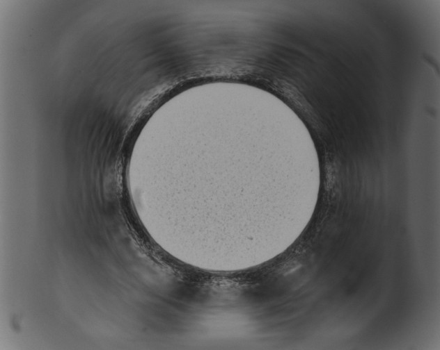 X0000100870632200807181237