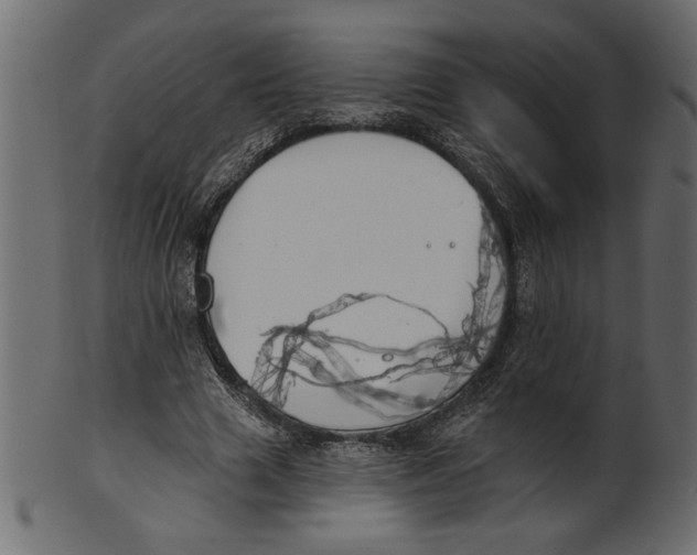 X0000100870633200807181237