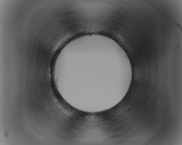 X0000100870634200807181237