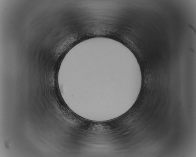X0000100870635200807181237