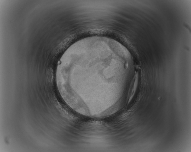 X0000100870637200807181237
