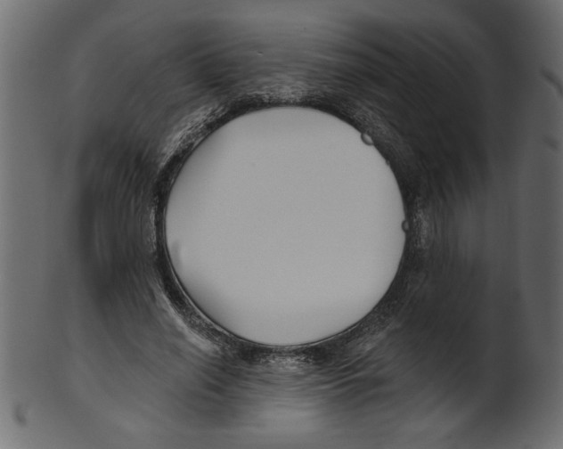 X0000100870638200807181237