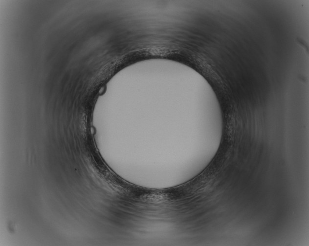 X0000100870639200807181237