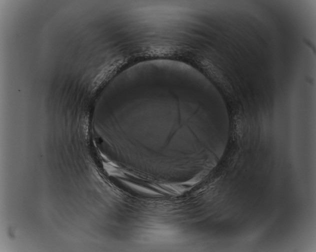 X0000100870640200807181237