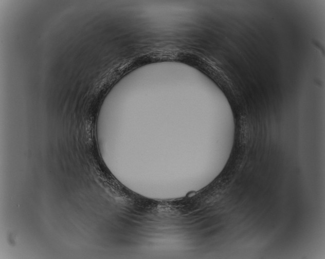 X0000100870641200807181237