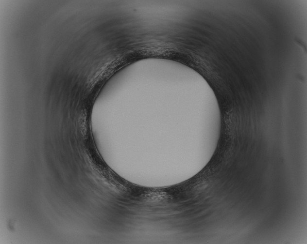 X0000100870642200807181237