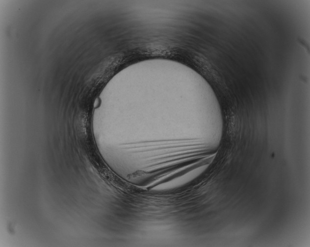 X0000100870643200807181237