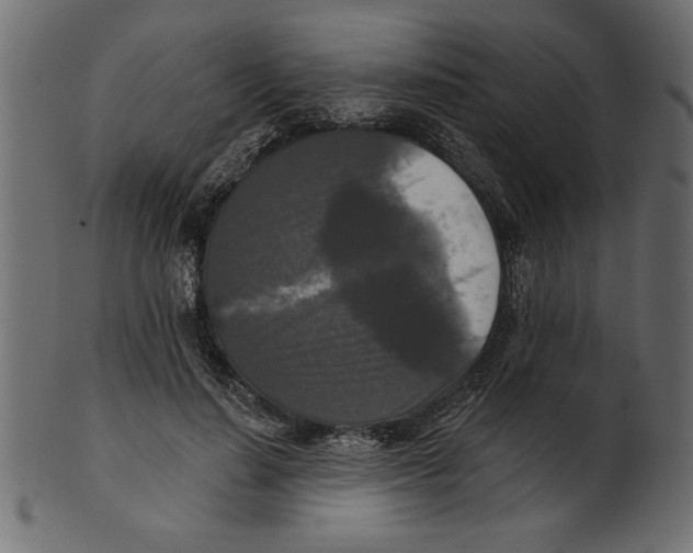 X0000100870644200807181237