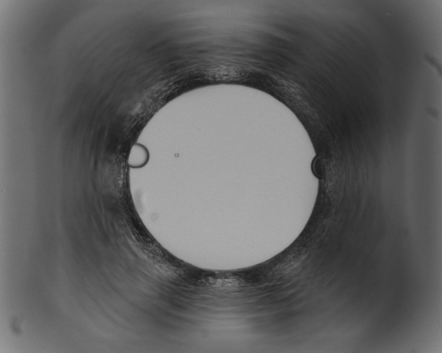 X0000100870645200807181237