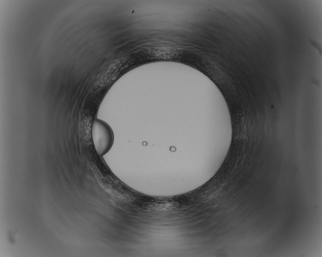 X0000100870646200807181237