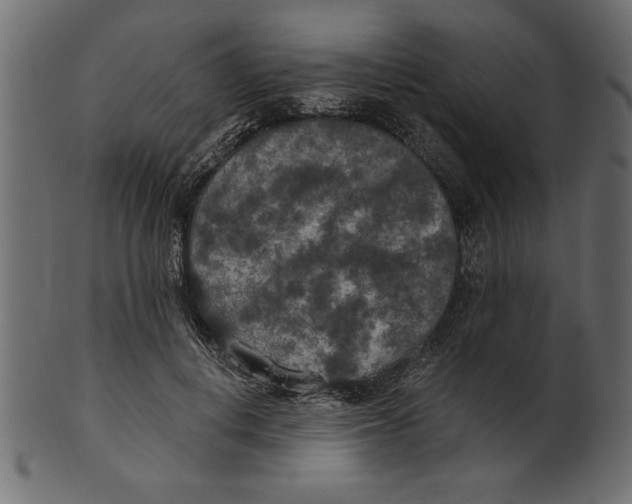 X0000100870648200807181237