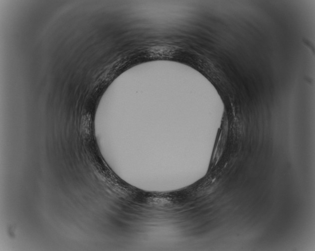 X0000100870649200807181237
