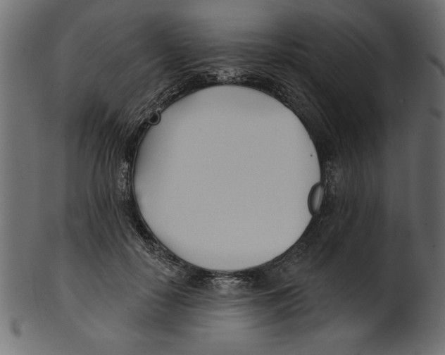X0000100870650200807181237